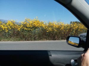 anoixi_fthinopwro_02