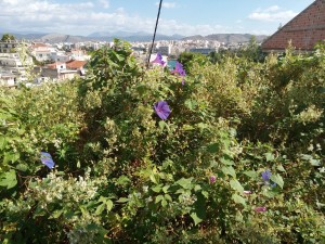 anoixi_fthinopwro_04