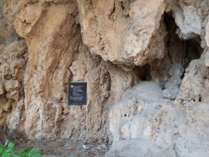 edessa_06